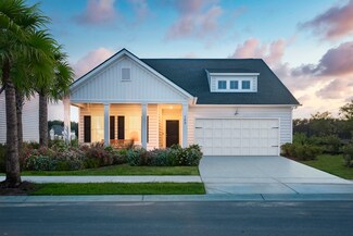 173 Threaded Fern Landing, Summerville, SC 29485