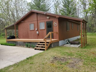 11305 N Astor Rd, Irons, MI 49644