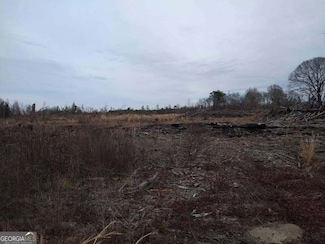 3 Condor Rd, Twin City, GA 30471