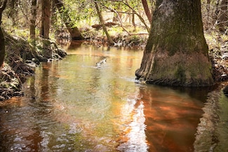 TBD 2 County Road 2052, Newton, TX 75966