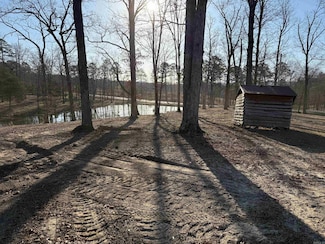 TBD Hwy 71 Lot #1, Mena, AR 71945