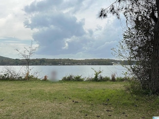 1331 Funderburg Bend Rd, Pell City, AL 35128