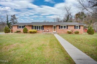 101 Joy Dr, Johnson City, TN 37601