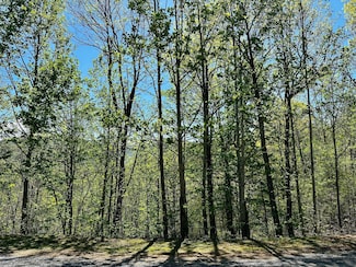 lot 18 Mountain Dreams Way, Sevierville, TN 37862