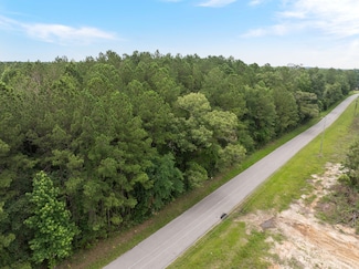 One of Two Scruggs Rd, Sumrall, MS 39482