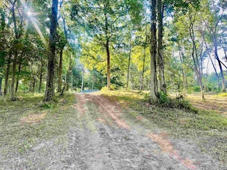 3411 Cecil Roberts Rd, Troy, TN 38260