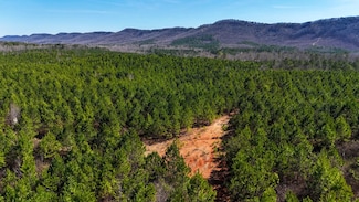 0 Georgia 100, Lyerly, GA 30730