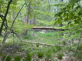 6650 103rd Ave, South Haven, MI 49090