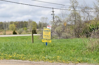 VL Grand River Ave, Handy Township, MI 48836