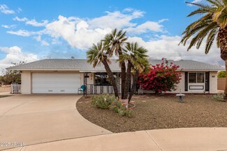 17008 N 97th Ave, Sun City, AZ 85373