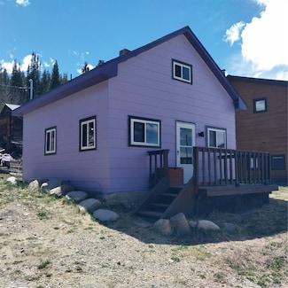 33 S Oak St, Alma, CO 80420