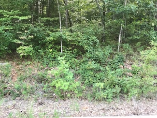 Lot 235 Crescent Dr, Ridgedale, MO 65672
