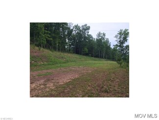 0 Smithville Rd Unit M238596, Harrisville, WV 26362