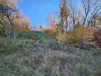 Tract 34 Rocky Rd, Harman, WV 26270