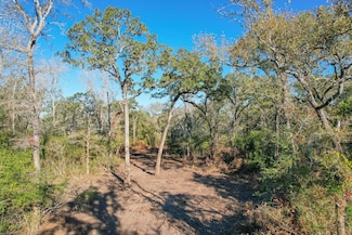 0 Tbd Jones Rd, College Station, TX 77845