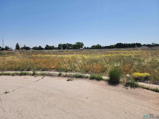 1819 Quail Wood Dr, Portales, NM 88130