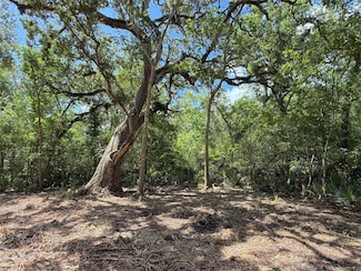 17480 County Road 945, Brazoria, TX 77422