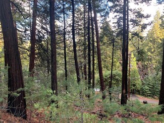 3230 Menominee Ct, Arnold, CA 95223