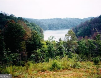 Lot 7 Foothill Estates Ln, Murphy, NC 28906