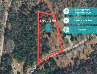 10370 W Forest Way, Roscommon, MI 48653