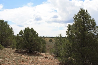 398-399 Cheyenne Dr, Ramah, NM 87321