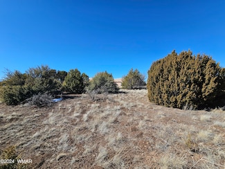 1968 Ridgeway Rd, Show Low, AZ 85901