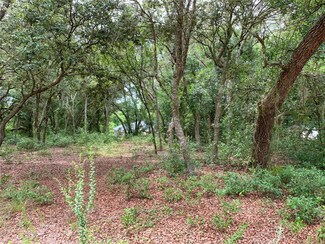 LOT 3 Calamondin St, Lady Lake, FL 32159