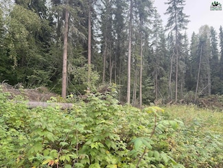 285 Terrace Dr, Fairbanks, AK 99712
