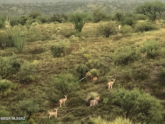 TBD S Moyza Ranch Rd, Amado, AZ 85645