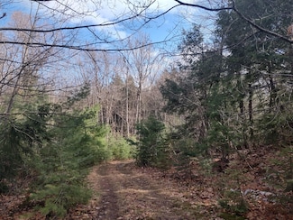 320 Acres County Rd 510, Ishpeming, MI 49855