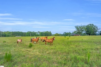 00 Docheno Rd, Belton, SC 29627