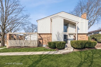 100 W Brighton Place Unit T5, Mount Prospect, IL 60056