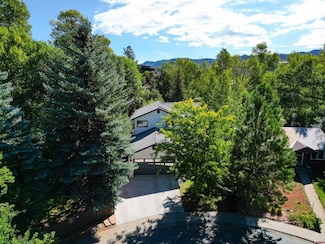 399 Needham Cir, Durango, CO 81301