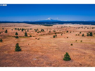 0 Schilling Rd Unit 20432387, Lyle, WA 98635