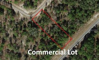 10522 N Elkcam Blvd, Dunnellon, FL 34433