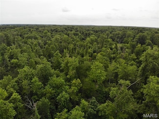 0 Magnolia Rd, Hoyleton Township, IL 62803