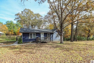 550 Cedar Point Rd, Benton, KY 42025