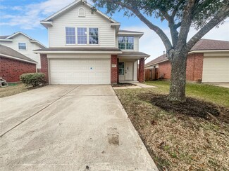 14315 Brunswick Point Ln, Houston, TX 77047