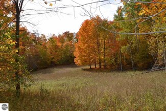 0 S Cedar Rd Unit 1818941, Cedar, MI 49621