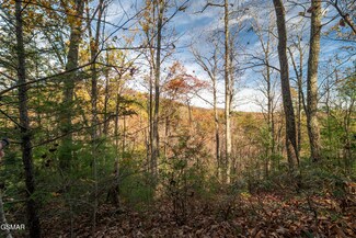 4365 Wilhite Rd, Cosby, TN 37722