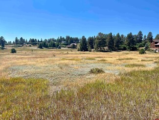 232 Santino Place, Pagosa Springs, CO 81147