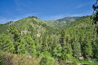 TBD Forest Service Road 542, Lowman, ID 83637