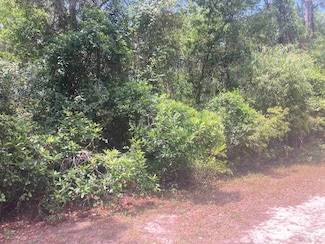 430 Palm Way, Georgetown Cove, FL 32139