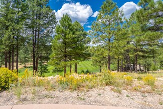 1905 E Iron Horse Ct Unit 256, Flagstaff, AZ 86005