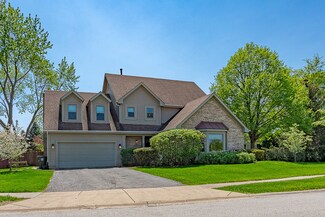 1201 Montego Ct, Elk Grove Village, IL 60007