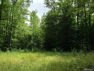 VL Wilcox Rd, North Collins, NY 14111