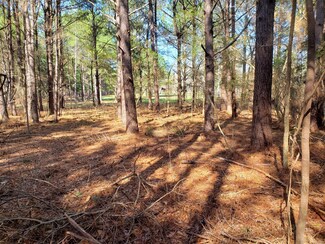 6384 County Road 37 S, Hope Hull, AL 36043