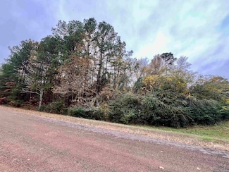 TBD E Loop 390, Marshall, TX 75672