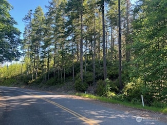 0 NE Tahuya Blacksmith Unit NWM2389298, Belfair, WA 98528