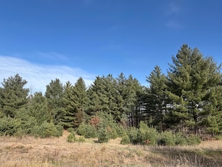 L8,Blk1 262nd Ave NW, Orrock Township, MN 55309